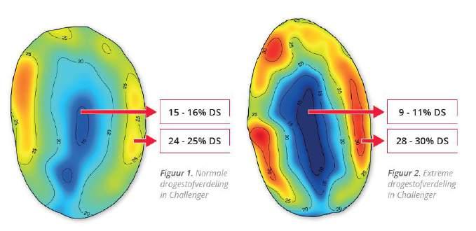 in de cortex (buitenkant aardappel) en een verstoord/geblokkeerd transport van droge stof