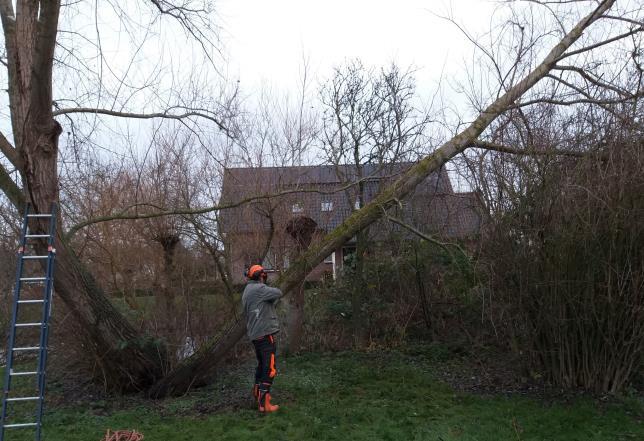 Van de werkvloer De maand november is de maand van de landelijke Natuurwerkdag. Dit jaar viel deze dag op zaterdag 3 november. Als voorbereiding wordt traditiegetrouw voorgewerkt.