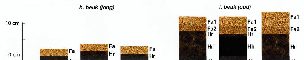 onveranderd; moedermateriaal; Fa = halfverteerde strooisellaag met geringe activiteit van bodemfauna; Faz =