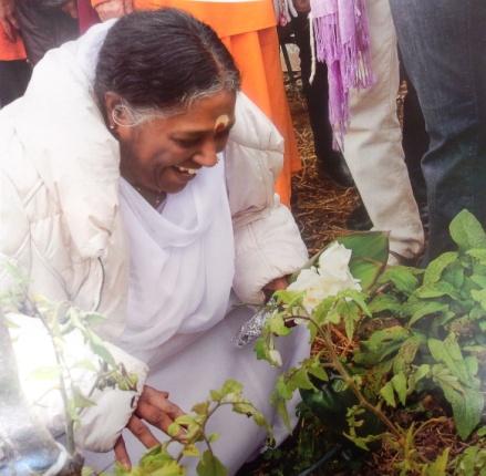 Amma's TUIN nieuws nr. 7 April - mei 2015 Vele handen maken licht werk!