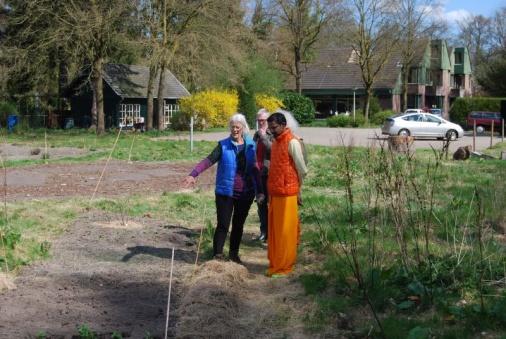 En om eerlijk te blijven: een bloemenmandala die eerder doet denken aan dat wilde weiland: een wat mislukt