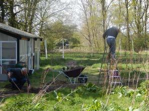 Vooral de voortuin is veel verzorgder en er zijn veel planten