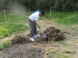 ), lezing over permacultuur en tuin, een excursie, bhajans en