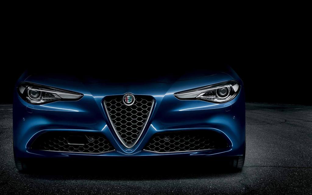 EXTERIEUR CARBON GRILLE-OMLIJSTING Voor Giulia en Giulia Super.