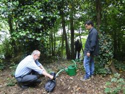 Zelfaanzuigende pomp Rups Helmkruidvlinder Bomen bij muur herstellen zich Weten we nog niet.