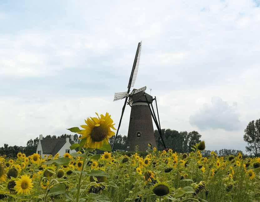 Stichting Van Gogh Village Nuenen Postbus 193,