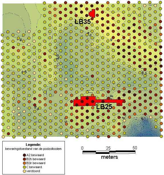 Fig. 15. Topografische kaart van zone D met de boringen van LB100. Deze geven de bewaringstoestand van de podzolbodem aan.