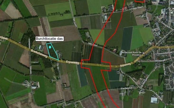 25 Flora en fauna: onderzoek beschermde soorten (deels in uitvoering) Dassen: Compenseren