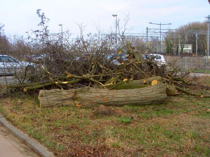 Groen en Spelen 073-623 3195 Op verschillende plekken in Boschveld wordt momenteel gewerkt aan de herinrichting van straten en trottoirs en zijn bomen geplant. De werkgroep E-mail: info@obboschveld.