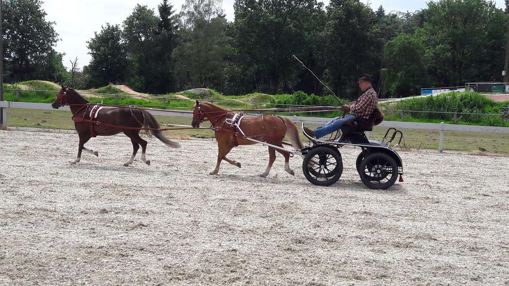 Zo kwam er toch weer aan een geslaagde dag een einde, nadat alles terug weer