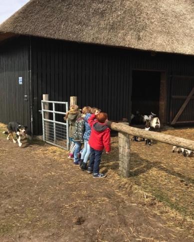 Volgende week gaan we aan de slag met muziekinstrumenten.