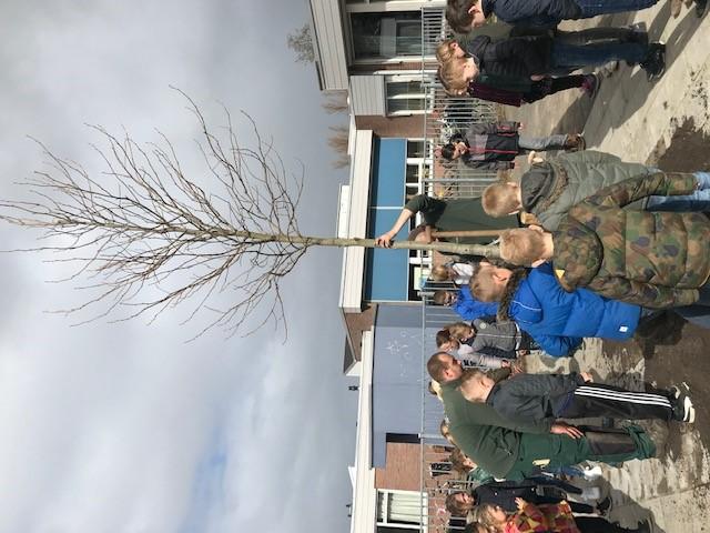nl website: www.bs-regenboog.nl Schoolplein: Hulp gevraagd Maandag 18 maart hebben we een boom gekregen van gemeente Zaanstad voor ons schoolplein. Groep Groen mocht helpen met planten.