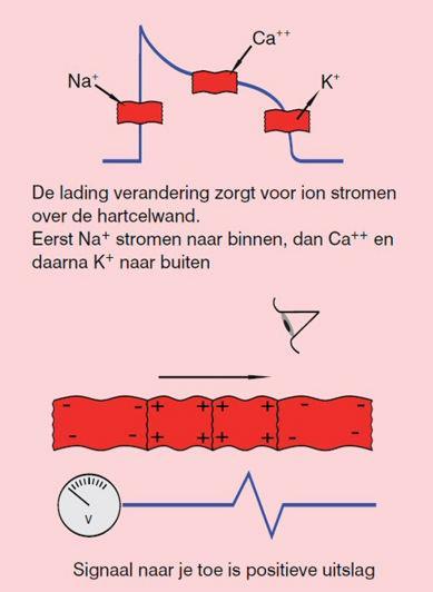 Klik hier