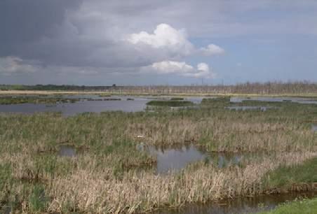 Voor de het waterschap als opdrachtgever voor de wateraspecten in het NNN gelden de volgende aandachtspunten: De Waterhuishouding is op orde voor de verschillende functies: natuur (NNN), landbouw,