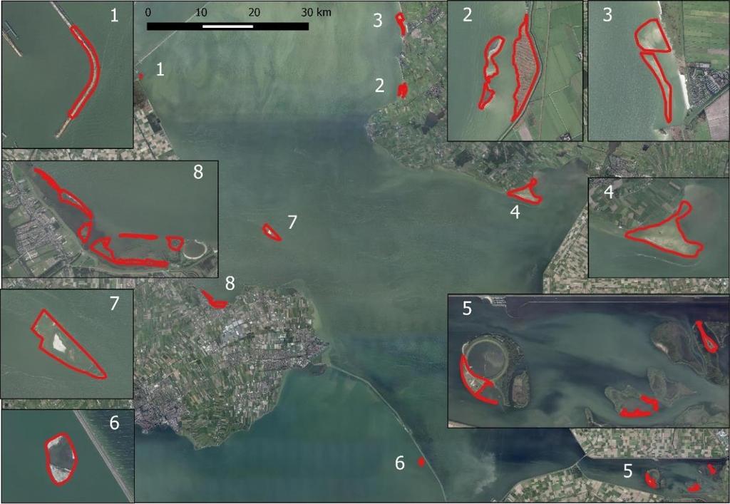 Voorkomen beschermde soorten 5.6 Vogels Alle broedvogels zijn beschermd in het kader van de Wet natuurbescherming. In het IJsselmeergebied komen diverse broedvogels voor.