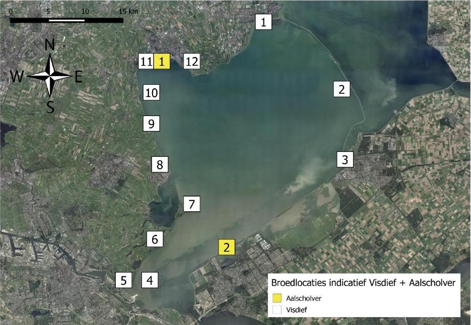 Voorkomen beschermde soorten Tabel 5.3 Broedlocaties van grondbroedvogels in het IJsselmeer (ligging locaties zie figuur 5.