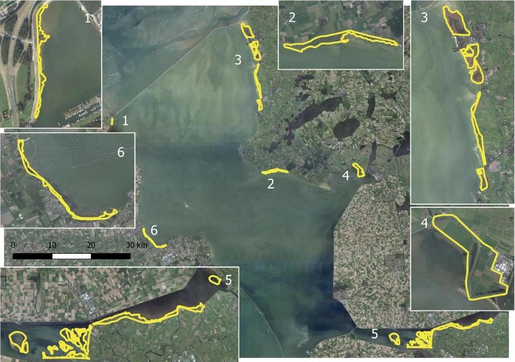 bontbekplevier 5 Keteloog Visdief 6 Trintelhaven Aalscholver 7 De Kreupel Visdief, aalscholver 8 Medemblik, Vooroever Visdief, lepelaar, aalscholver Figuur 5.