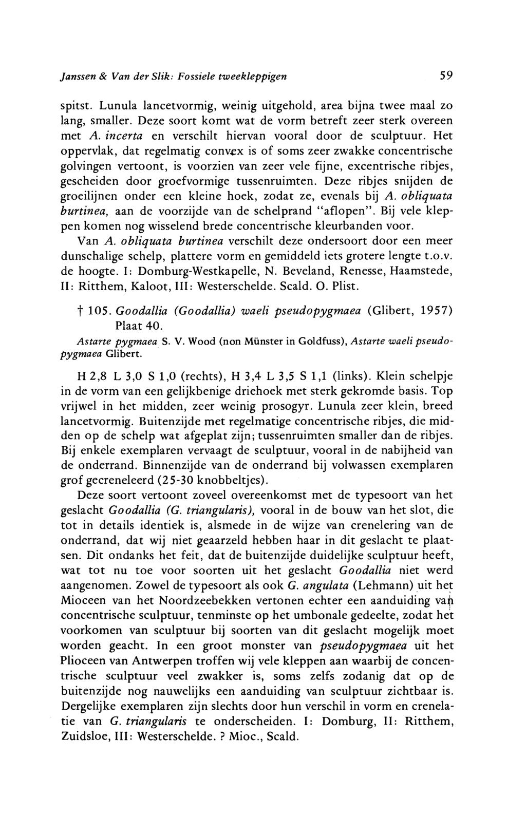 Janssen & Van der Slik: Fossiele tweekleppigen 59 spitst. Lunula lancetvormig, weinig uitgehold, area bijna twee maal zo lang, smaller. Deze soort komt wat de vorm betreft zeer sterk overeen met A.