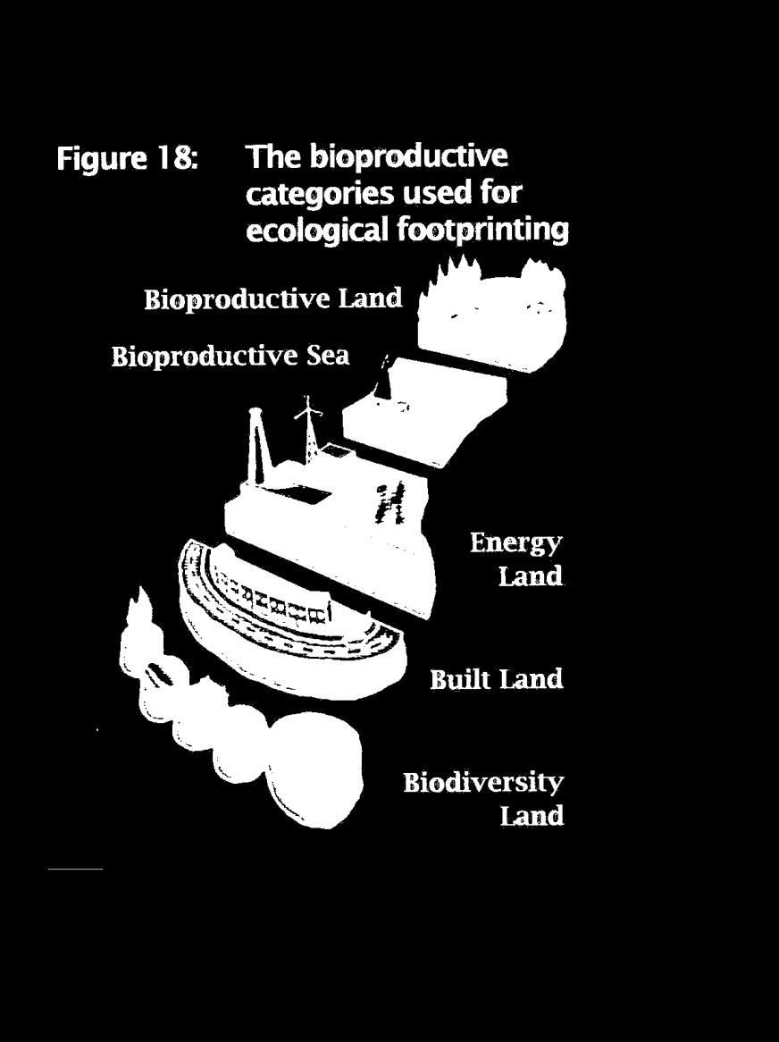 Samenstelling Mondiale Voetafdruk 1. Bioproductief land: - Akkerbouwgrond - Weidegrond - Bossen 2. Visgronden 3.