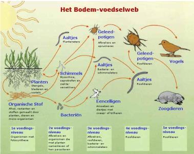 World US Soil Taxonomy Nederlands bodemclassificatiesysteem van de akker en Schelling odem