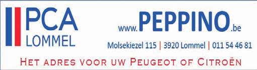 REI- NIGEN,Ontmossen en verven van leien,dakpannen,overzetdaken enz. Langdurend resultaat door uitzonderlijke werkmethode. Kosteloze en aanvaardbare prijsopgave: 0476.293.253 Vochtproblemen?