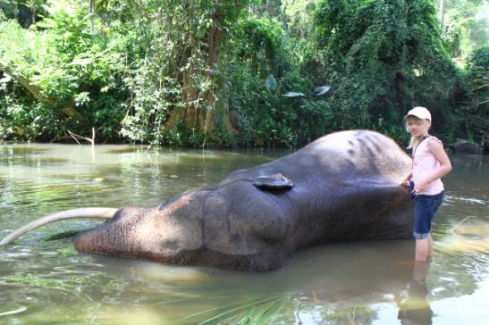 7 juli Vandaag hebben wij en de kinderen op een olifant gereden en mochten wij ze wassen in de rivier.