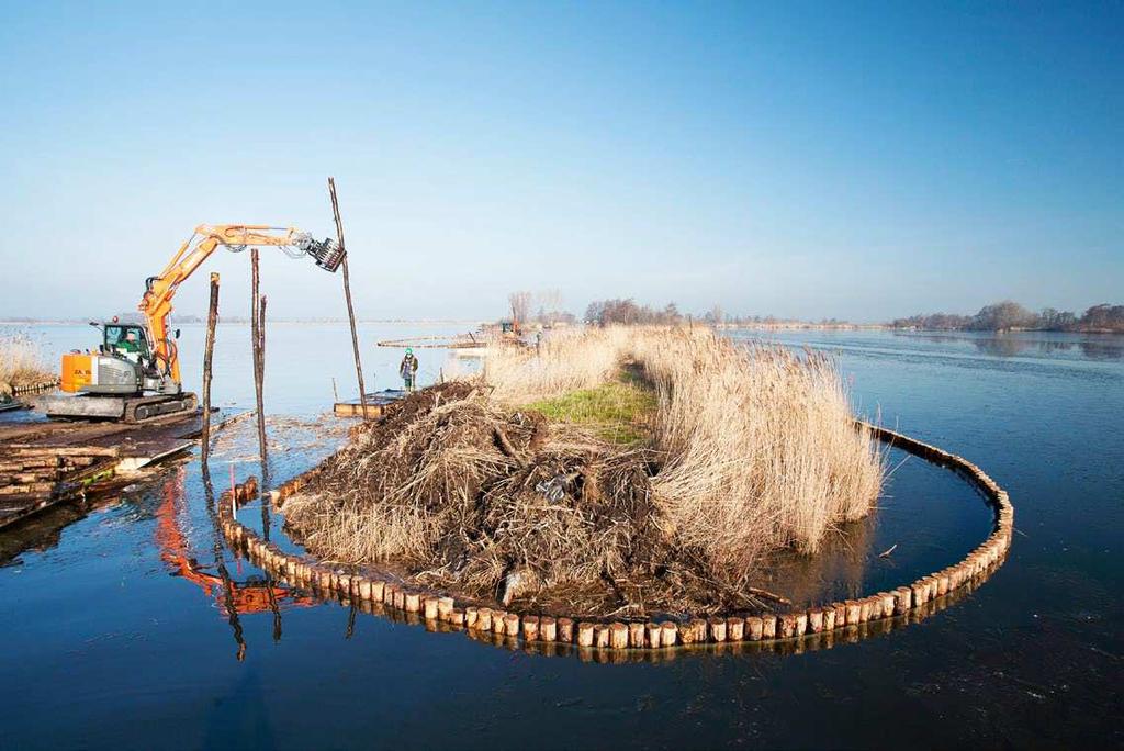 3. Wij realiseren schone meren, plassen en natuurgebieden Schone meren, plassen en natuurgebieden Rijnland onderscheidt veertig KRW-waterlichamen.