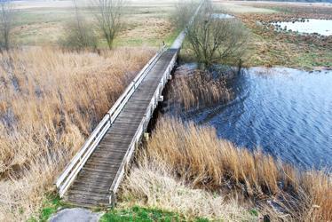 Ten eerste wordt geconcludeerd dat tot dan toe de laagveengordel sectoraal of vanuit deelgebieden werd benaderd.