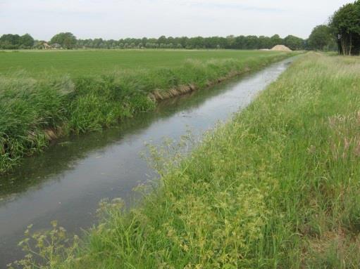 M1a: Gebufferde sloten. Het waterlichaam Zuidelijk Afwateringskanaal is volledig in beheer bij Waterschap Rijn en IJssel.