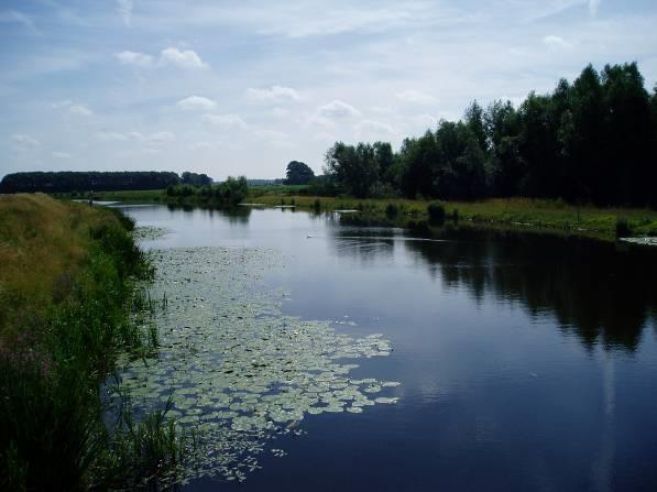 Het waterlichaam behoort tot het waterlichaam type R6: Langzaam stromend riviertje op zand/klei. Het Nederlandse deel van de Berkel is volledig in beheer bij Waterschap Rijn en IJssel.