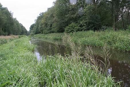 Het waterlichaam behoort tot het waterlichaam type R5: langzaam stromende middenloop/benedenloop op zand. Het waterlichaam Ramsbeek is volledig in beheer bij Waterschap Rijn en IJssel.