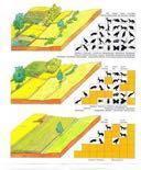 Variatie in