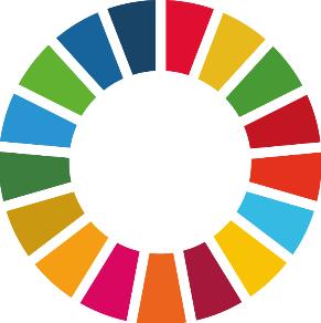 groepjes de SDG-cirkeloefening maken.