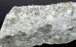 De aanwezigheid van asbest in een materiaal kan enkel met absolute zekerheid in een labo vastgesteld worden.