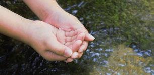 I Als je veel dorst hebt, kun je beter niks drinken dan zeewater. P Twee derde van de aarde is bedekt met land. S Twee derde van de aarde is bedekt met water.