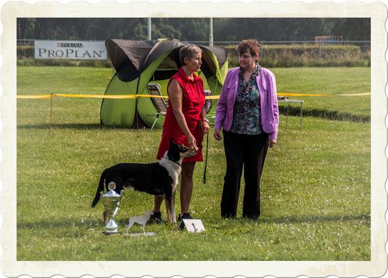 Kampioens Club match Op 14 juli houden we onze kampioensclubmatch van de Smooth Collie Friends. Op deze ras keuring worden alleen ons ras gekeurd.