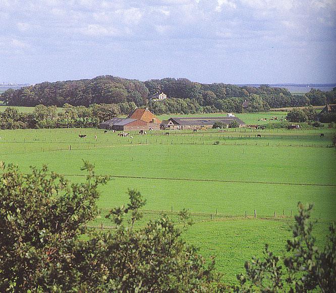 landschap Streekdorpen / esdorpen