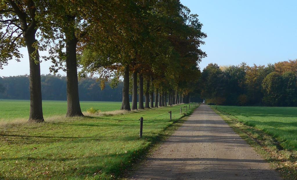 10. Sluiting Dank voor jullie inbreng en graag tot een