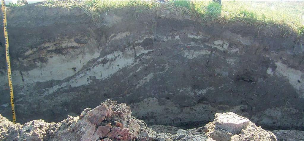 7 Resultaten 7.1 Ondergrond en stratigrafie Afb. 5 Gedeelte van dijkprofiel 1 Dijkprofiel 1 Op een diepte van circa 0,64 m + NAP bestaat de bodem van het profiel uit lichtgrijs fijn zand.