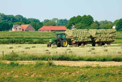 7 Aandacht voor de landbouw Het Sigmaplan houdt zoveel mogelijk rekening met de gevolgen voor de plaatselijke landbouwers.
