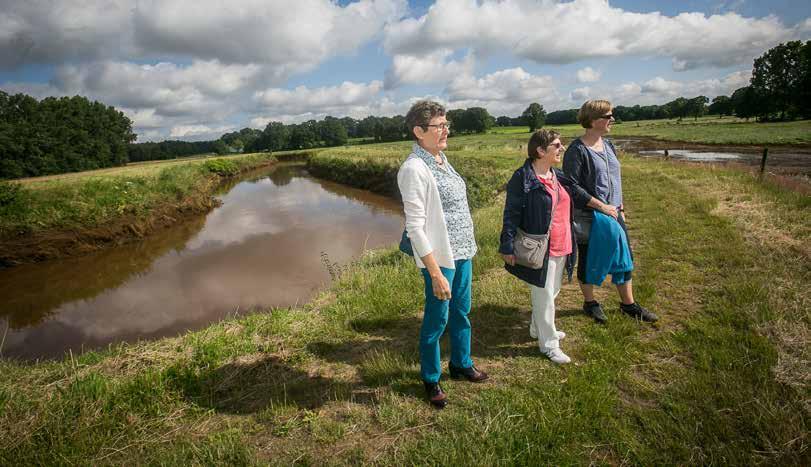 PROJECTEN Oppervlakte: 850 hectare Grondgebied: Nijlen, Herenthout, Heist-op-den-Berg, Hulshout, Herselt, Westerlo, Laakdal en Geel Fase: in uitvoering Vallei van de Grote Nete Langs kastelen, bossen