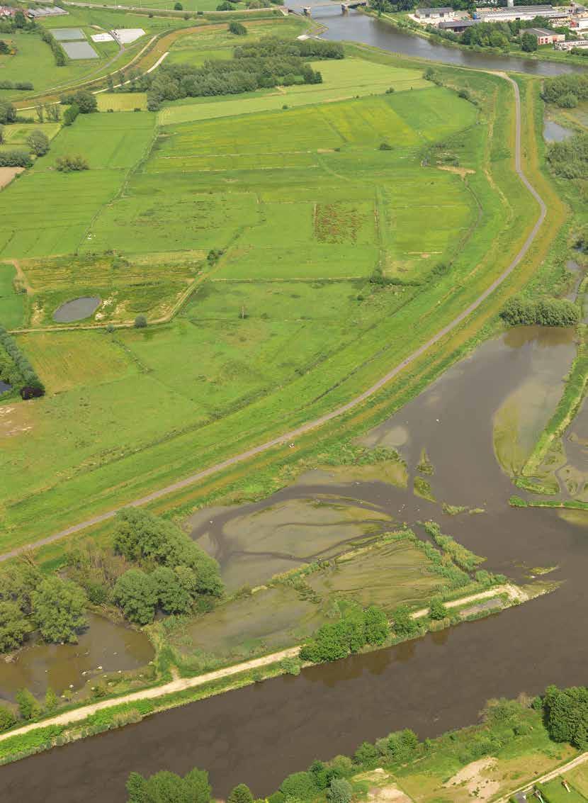 Kalkense Meersen In een weids gebied rond de Kalkense Meersen, tussen Gent en Dendermonde, krijgt de Schelde meer bewegingsruimte.