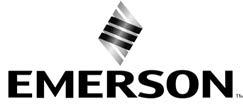 Emerson, Emerson Automation Solutions, noch enige van hun dochterondernemingen aanvaarden aansprakelijkheid voor selectie, gebruik of onderhoud van enig product.