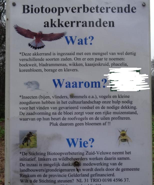 je bij deze kruising komt.