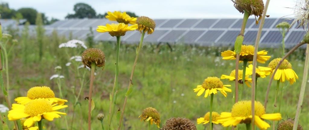 Werkwijze Achterhoek + De Achterhoekse gemeenten delen werkwijze en goede voorbeelden in het Coördinatorenoverleg Landschap Achterhoek.