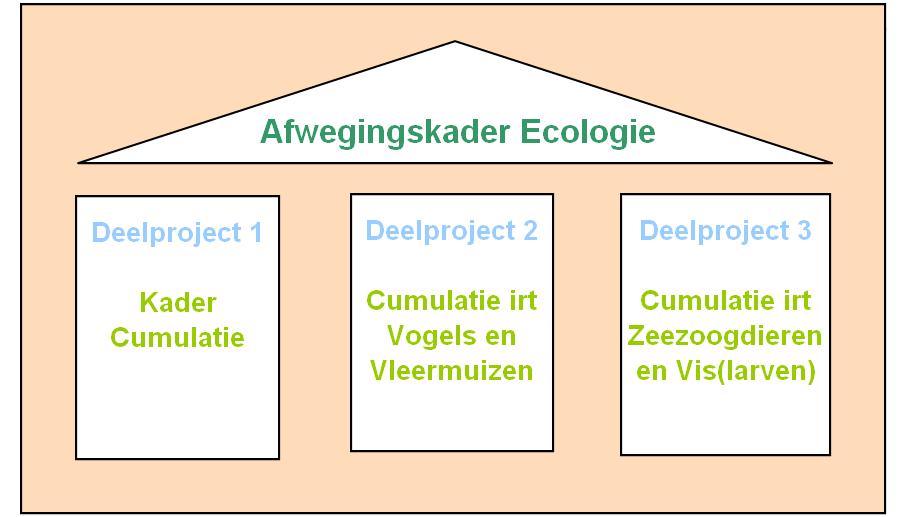 Afwegingskader Ecologie en Cumulatie Waarom een Afwegingskader Ecologie en Cumulatie? Vraagstelling Afwegingskader Welke randvoorwaarden stelt cumulatie aan de verkaveling van Borssele?