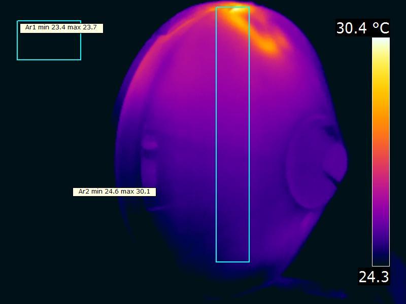 Temperatuurmetingen lamp Temperatuurplaatje(s) status lamp > 2 uur aangestaan omgevingstemperatuur 235 graden C gereflecteerde schijnbare temperatuur