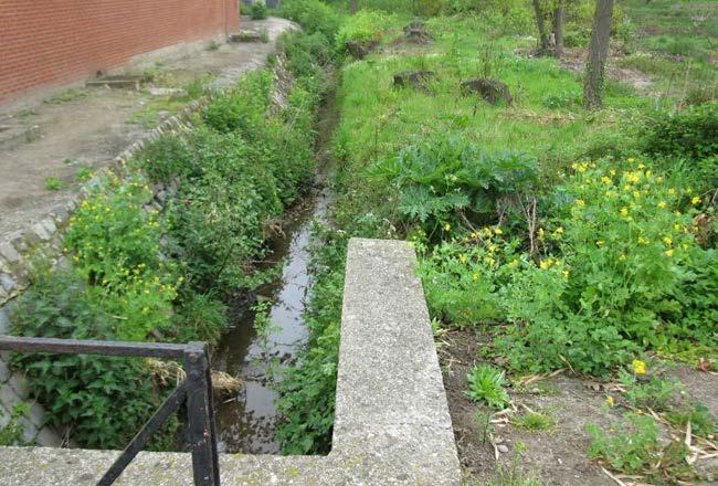 talud Weinig natuurvriendelijk profiel