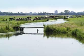 Er wordt op één locatie in het IJsselmeer en twee locaties in het Amsterdam-Rijnkanaal direct oppervlaktewater gewonnen voor drinkwater.
