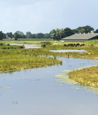 1.4 Vastleggen van doelen en maatregelen 9 In Nederland is bij wet vastgelegd dat de doelen en maatregelen in de Kaderrichtlijn Water in een besluit of in een waterplan worden opgenomen.